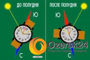 Если вы заблудились в лесу без компаса, без карты, без телефона